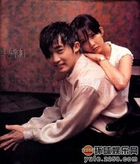 明星星梦奇缘图片,璀璨星光下的浪漫邂逅