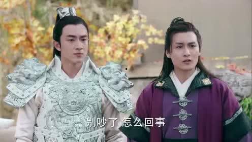 八卦罗竟,揭秘古代神秘符号的智慧之光