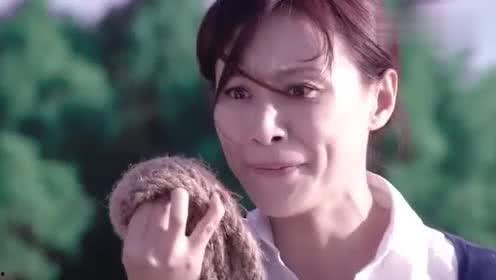 八卦罗竟,揭秘古代神秘符号的智慧之光